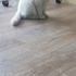 Oğlumuza aile olur musunuz fotoğraf