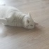 Oğlumuza aile olur musunuz fotoğraf