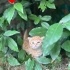 Yardıma Muhtaç Bir Bebek, fotoğraf