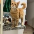 GÜZEL HUYLU OĞLANA GÜZEL BİR YUVA fotoğraf