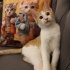 Minik Güneş ailesini bekliyor fotoğraf