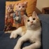 Minik Güneş ailesini bekliyor fotoğraf