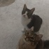 Doğduklarından Beri Bir Odadalar fotoğraf