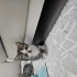 Namı Değer Palyanço fotoğraf