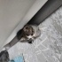 Namı Değer Palyanço fotoğraf