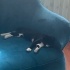 Smokin kızımıza aile arıyoruz fotoğraf
