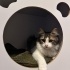 Sevimli oyuncu minik fotoğraf
