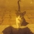 Karamela yuvasını bekliyor fotoğraf