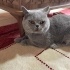 MINIK BARBUNYA’YA ÖMÜRLÜK DOST ARIYORUZ fotoğraf