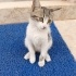 Antalyada sahıplenılmezse ezılebılır fotoğraf