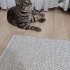 6 aylık temas bağımlısı  minnoş yuva arıyor fotoğraf