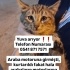 Araba kaputlarında ölmesin istiyoruz