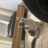 Sokaga donmeden yuva acill fotoğraf