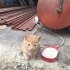 Anneleri öldü yuvasızlar fotoğraf