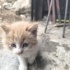 Anneleri öldü yuvasızlar fotoğraf