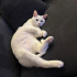Pamuk kız Carla fotoğraf