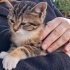 Güzeller Güzeli Bebek fotoğraf