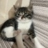 Boncuk’a ömürlük yuva fotoğraf