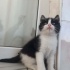 dolunay kızıma yuva fotoğraf