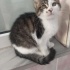 prensese ömürlük yuva fotoğraf