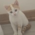 Oyuncu,sevgi dolu, sıcakkanlı fotoğraf