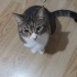 TOMY  (acil yuva ) fotoğraf