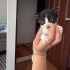 Annesiz kalan minik acil yuva arıyor fotoğraf