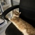 Mutlu eden bebek Mutlu fotoğraf