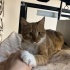 Mutlu eden bebek Mutlu fotoğraf