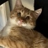 Mutlu eden bebek Mutlu fotoğraf