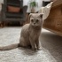 Sokağa terkedilmiş minik kız fotoğraf