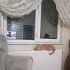Kısır Ev Kedimizi Sahiplendiriyoruz fotoğraf