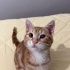 Tek gozlu sevecen bir erkek. 🥰 fotoğraf