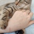 Temas aşığı kardeşler sizi bekliyor fotoğraf