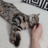 Temas aşığı kardeşler sizi bekliyor fotoğraf