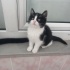 Dolunay’a Ömürlük Yuva fotoğraf