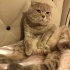 Tam bir beyfendi fotoğraf