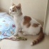 Acil yuvasını arıyor fotoğraf