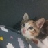 2 aylık bebeğe acil yuva fotoğraf