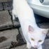 Kısır güzel kızımıza yuva fotoğraf