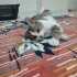 Sevimli kızımıza ömürlük yuva fotoğraf