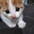 1 aylık aşırı tatlı bir bebek fotoğraf