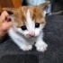 1 aylık aşırı tatlı bir bebek fotoğraf