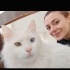 Eşi Gebe Diye Bu Güzel Kediler Hobi Bahçesine Bırakılmak üzere ÇOK ACİL YUVA fotoğraf
