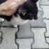 İnsan canlısı bir minik fotoğraf