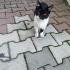 İnsan canlısı bir minik fotoğraf