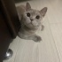 Acil yuva arıyoruz fotoğraf