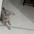 Acil yuva arıyoruz fotoğraf