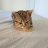 Adı gibi erkek güzeli Behlül fotoğraf