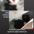 Sokakta bulduk acil yuva arıyoruz tatlış kedimize fotoğraf